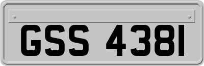 GSS4381