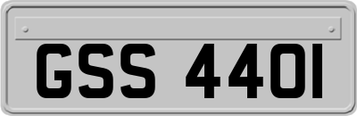 GSS4401