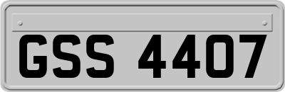 GSS4407
