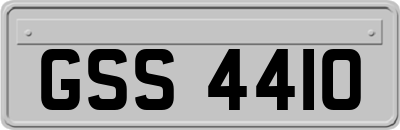 GSS4410