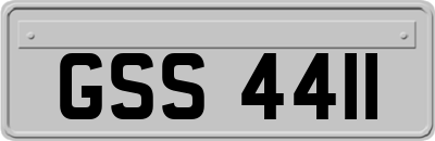 GSS4411