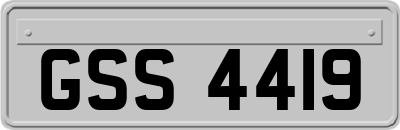 GSS4419
