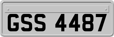 GSS4487