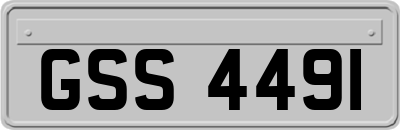 GSS4491