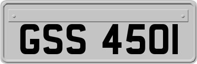 GSS4501