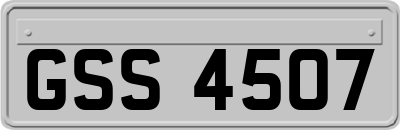 GSS4507