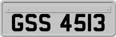 GSS4513