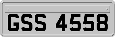 GSS4558