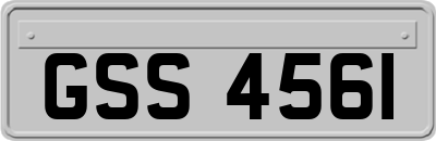 GSS4561