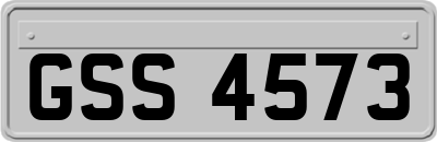GSS4573