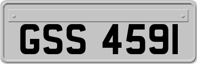 GSS4591