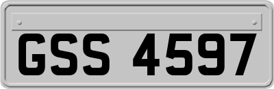 GSS4597