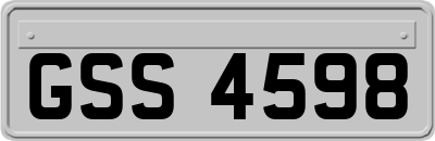 GSS4598