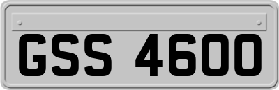 GSS4600