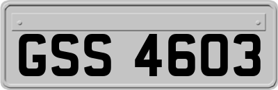 GSS4603