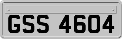 GSS4604