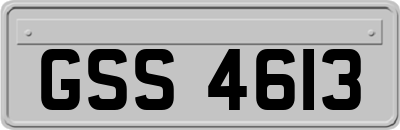 GSS4613