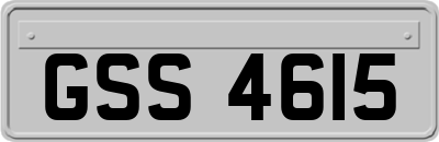 GSS4615