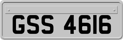 GSS4616