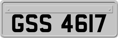 GSS4617