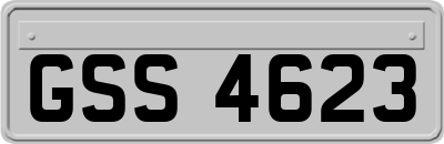 GSS4623