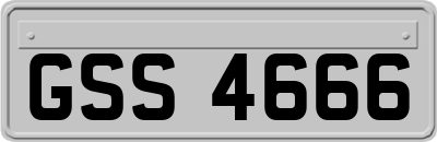 GSS4666