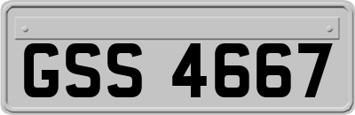 GSS4667