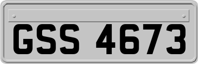 GSS4673