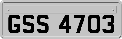 GSS4703