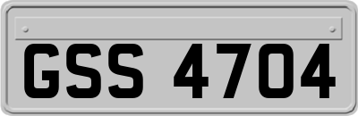 GSS4704
