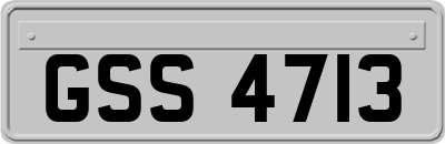 GSS4713