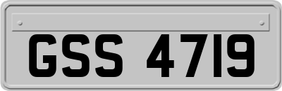 GSS4719