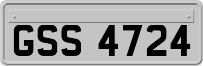 GSS4724