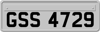 GSS4729
