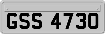 GSS4730