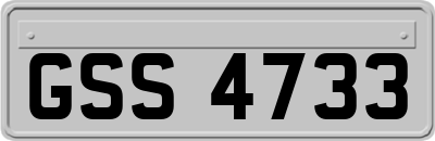 GSS4733
