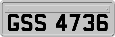 GSS4736