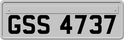 GSS4737
