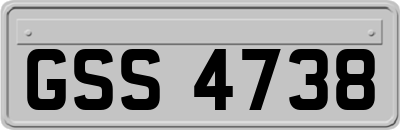 GSS4738