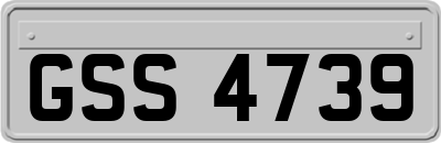 GSS4739