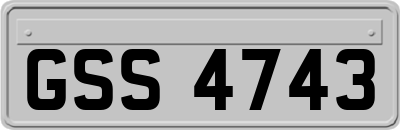 GSS4743