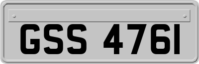 GSS4761