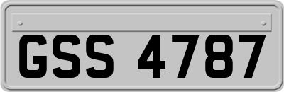 GSS4787