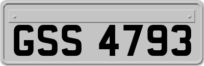 GSS4793
