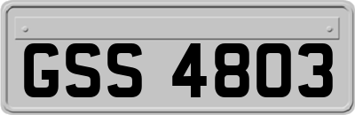 GSS4803