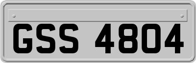 GSS4804