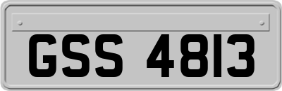 GSS4813