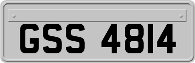 GSS4814