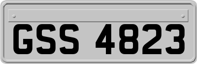 GSS4823