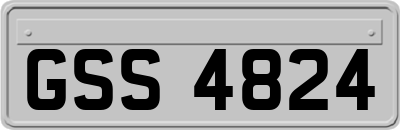 GSS4824